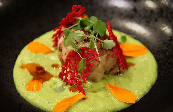 Tartare boeuf